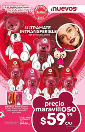 Catálogo Fuller Página 7