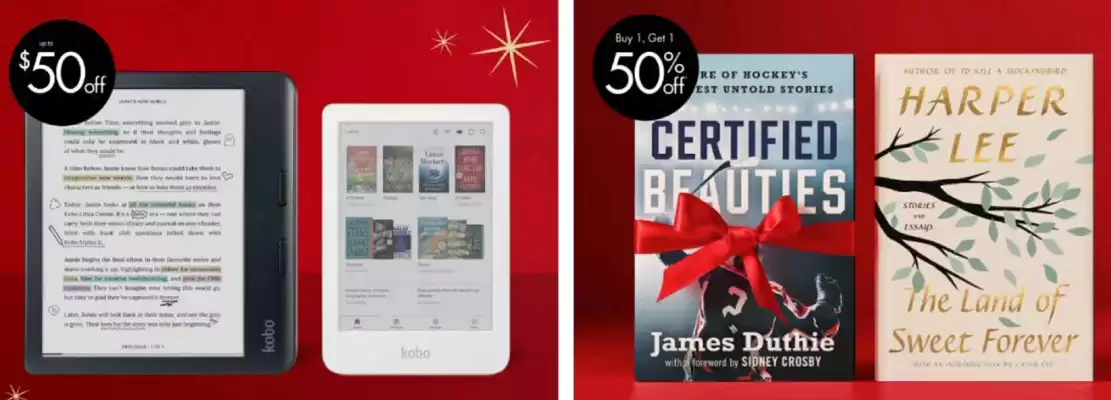 Chapters Indigo flyer (valid until 6-01)