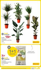 Praxis folder week 1 Pagina 50