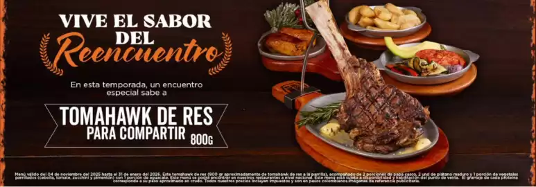 Catálogo Leños & Carbón Página 4