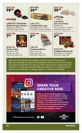 Princess Auto flyer week 52 Page 62