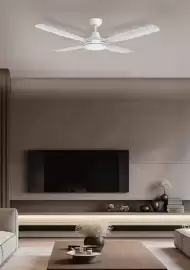 Mercator catalogue Page 132