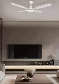 Mercator catalogue Page 214