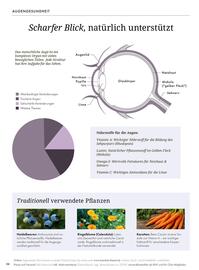 Bärbel Drexel Flugblatt Seite 35