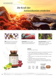 Bärbel Drexel Flugblatt Seite 39