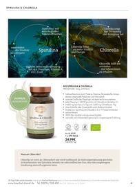 Bärbel Drexel Flugblatt Seite 42