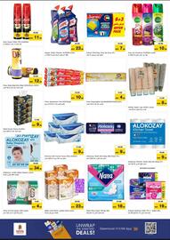 Nesto catalogue Page 11