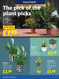 Lidl leaflet week 1 Page 19