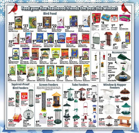 Ocean State Job Lot flyer week 52 Page 8