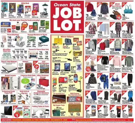 Ocean State Job Lot flyer (valid until 31-12)