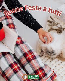 Volantino Lillo e i Vagabondi Pagina 1