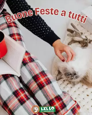 Volantino Lillo e i Vagabondi (valido fino al 8-01)