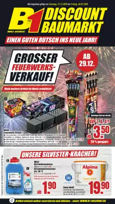 B1 Discount Baumarkt Prospekt (gültig bis 2-01)