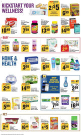 Food Lion weekly ad week 52 Page 13