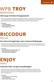 Lagerhaus Flugblatt Seite 15