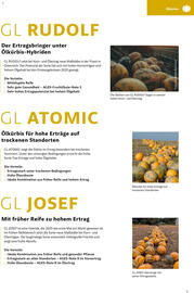 Lagerhaus Flugblatt Seite 7