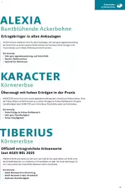 Lagerhaus Flugblatt Seite 13