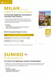 Lagerhaus Flugblatt Seite 8