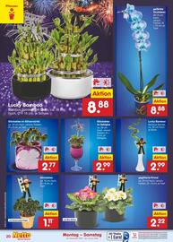 Netto Marken-Discount Prospekt woche 1 Seite 30