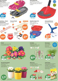 V Markt Prospekt woche 1 Seite 24