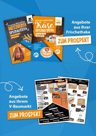 V Markt Prospekt woche 1 Seite 29