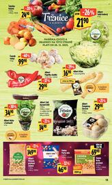 Albert leták Strana 18