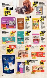 Albert leták Strana 31