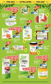 Albert leták Strana 36