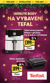 Albert leták Strana 43