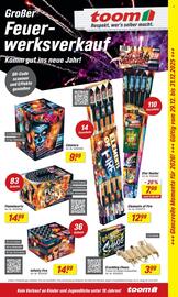 Toom Baumarkt Prospekt woche 52 Seite 3