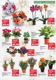 Kaufland leták Strana 13