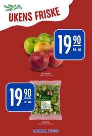 Rema 1000 kundeavis uke 52 Side 5