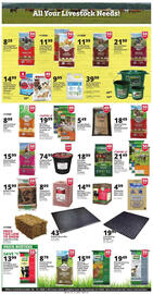 Rural King weekly ad week 52 Page 5