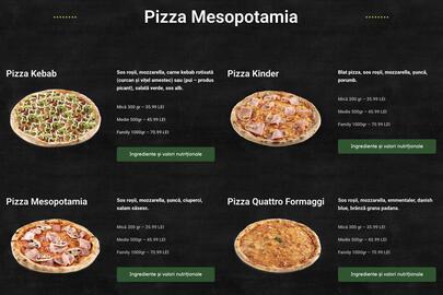 Catalog Mesopotamia Pagină 1