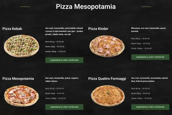 Catalog Mesopotamia (valid până la 7-01)