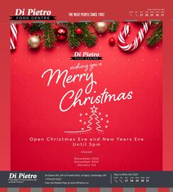 Di Pietro flyer Page 4