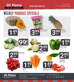 Di Pietro flyer Page 5