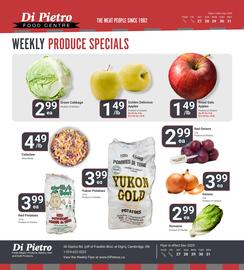 Di Pietro flyer Page 6