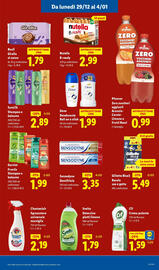 Volantino Lidl Pagina 13