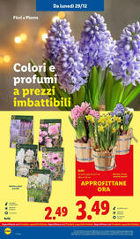 Volantino Lidl Pagina 36