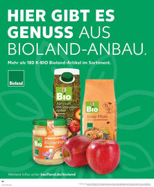 Kaufland Prospekt Seite 30