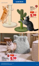 Catalogue Lidl | Les bonnes affaires de la semaine page 31