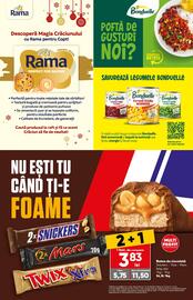 Catalog PROFI Pagină 14