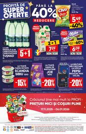 Catalog PROFI Pagină 16