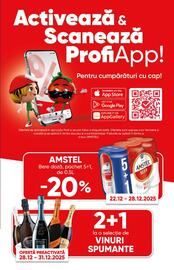 Catalog PROFI Pagină 17