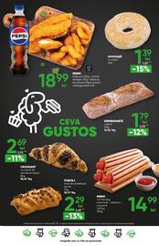 Catalog PROFI Pagină 23