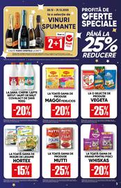 Catalog PROFI Pagină 3