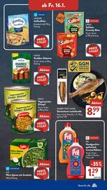 Aldi Süd Prospekt woche 3 Seite 13