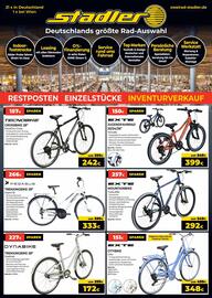 Zweirad Stadler Prospekt Seite 8