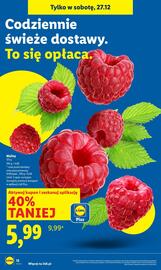 Lidl gazetka Strona 12